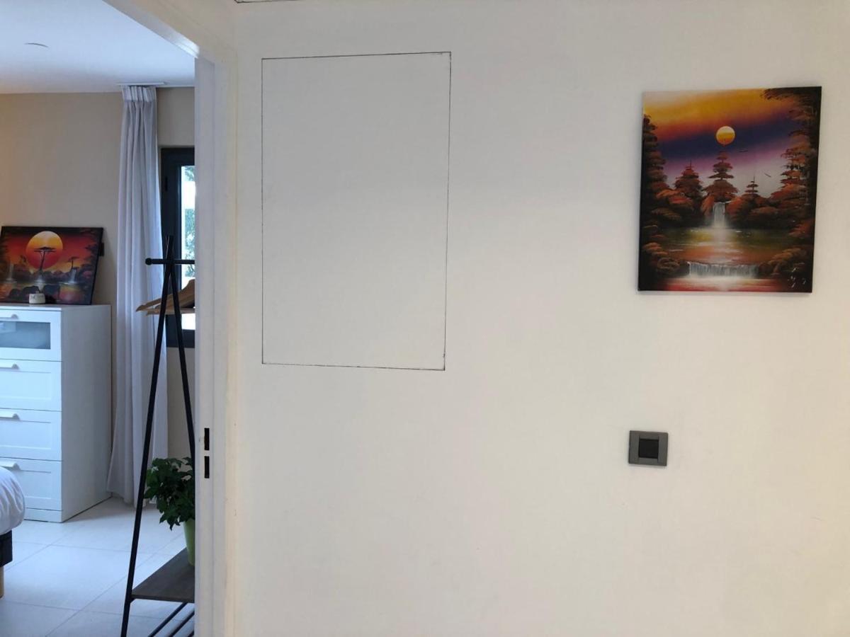 Appartement Montfleury: Dual Terrace Retreat near Croisette Beach Cannes Exterior photo